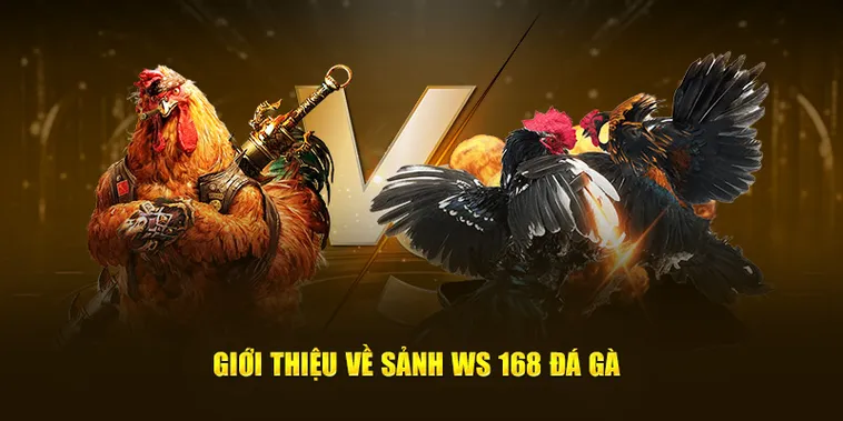 Bóc Trần Cách Chơi Đá Gà WS168 Tại OK365 Cho Người Mới 2 Bóc Trần Cách Chơi Đá Gà WS168 Tại OK365 Cho Người Mới