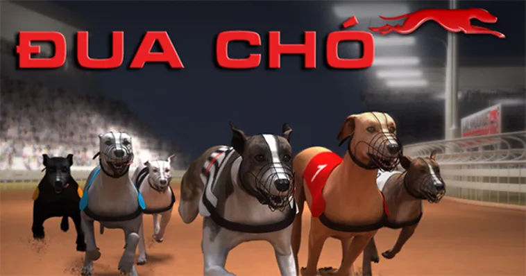 Bật Mí Cách Chơi Game Nhanh Đua Chó Tại OK365 Bách Phát Bách Trúng