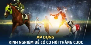 Cá Cược Thể Thao Ảo OK365 Chắc Thắng Từ Cao Thủ 9 Cá Cược Thể Thao Ảo OK365 Chắc Thắng Từ Cao Thủ